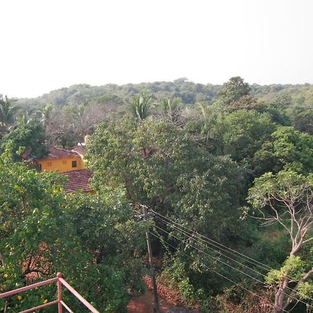 Rudra Holidays Guest House Arambol Exteriér fotografie