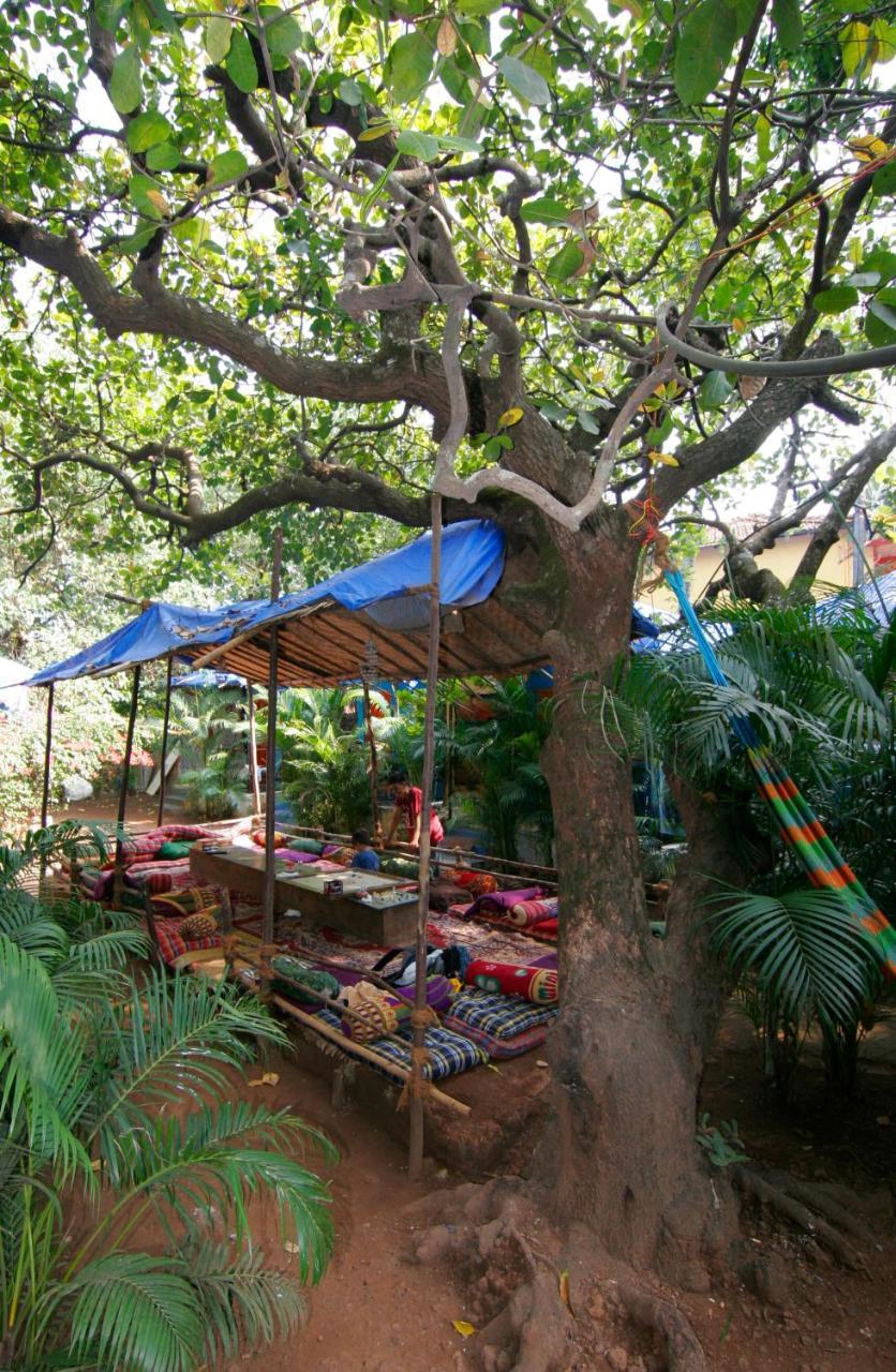 Rudra Holidays Guest House Arambol Exteriér fotografie