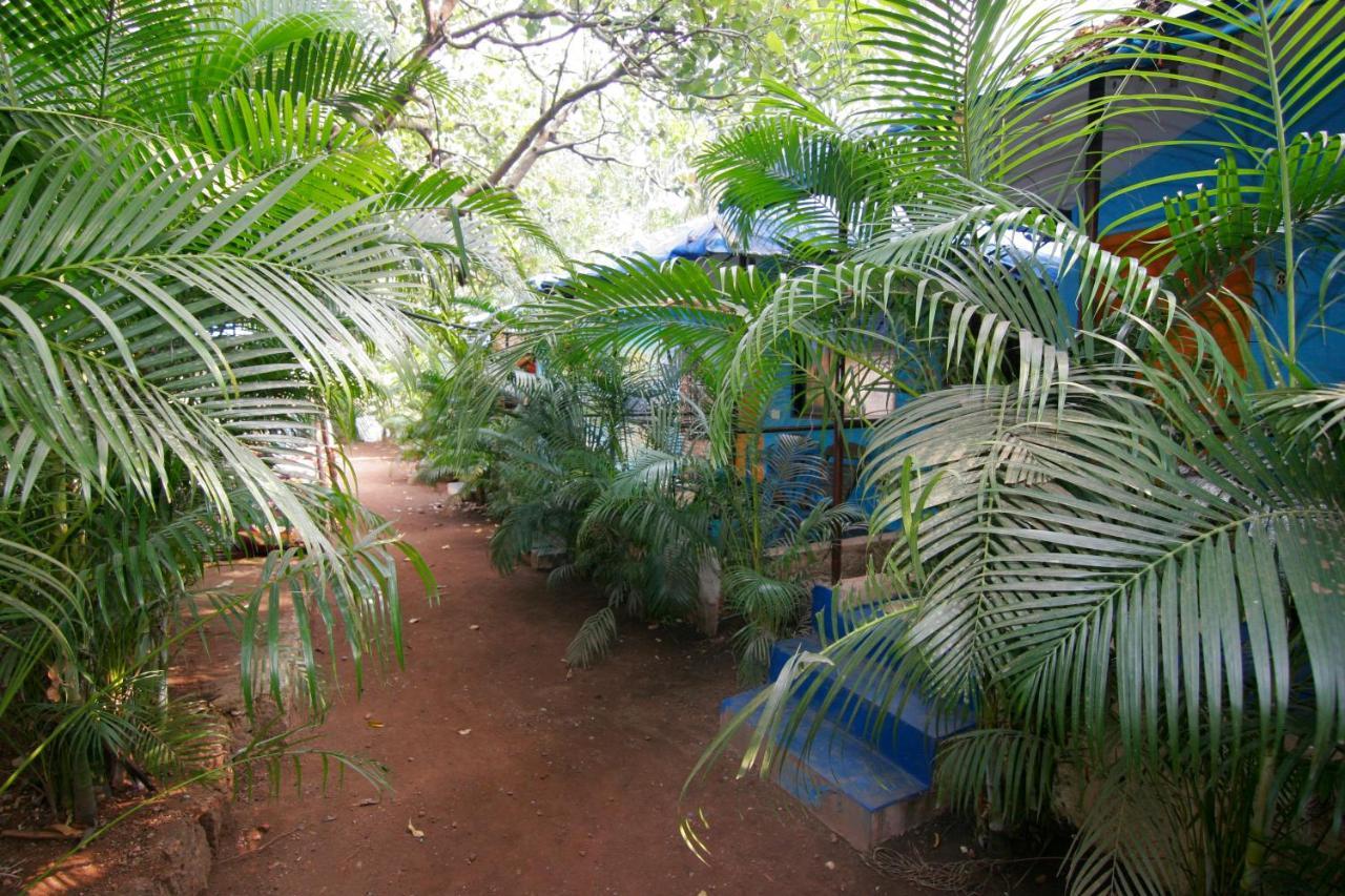 Rudra Holidays Guest House Arambol Exteriér fotografie